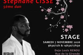 Stage Stéphane Cissé